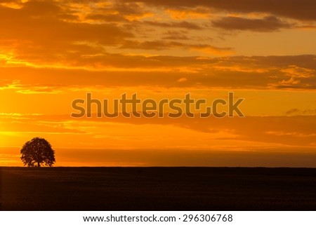 Beautiful summer sunset sky over countryside. Landscape with orange sunset sky over filed and trees.
