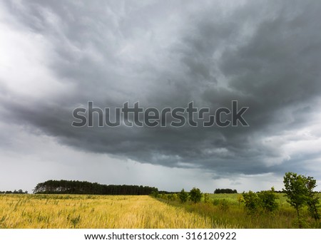 Summer landscape with storm sky over rye field. Frightening dark sky of thunderstorm over land