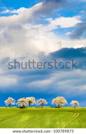 fields and trees in the sunshine under a dramatic sky