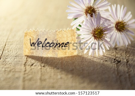 banner with welcome and  blossoms
