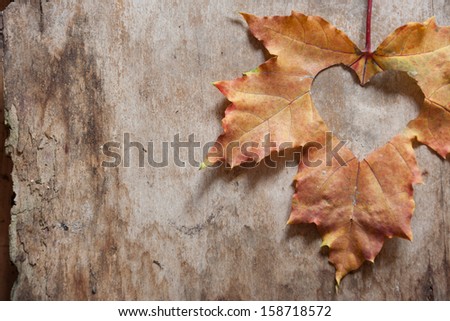 Maple-Leaf to cut the heart on the tree