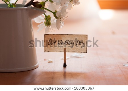 our wedding day concept, lettering and white flowers background