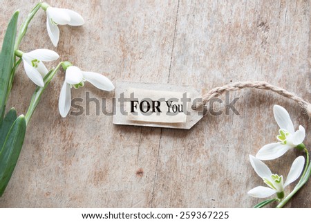 For you card. Beautiful snowdrops on wooden background and text for you.