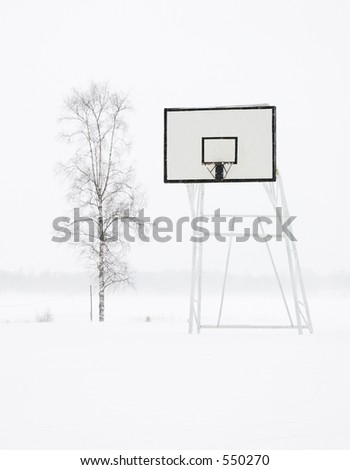 Basketball basket in winter.