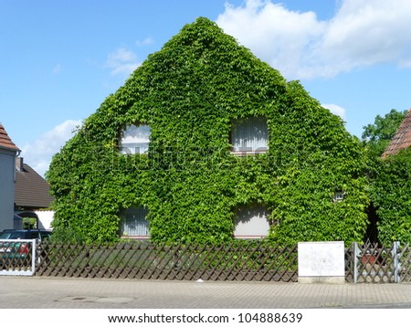 House full of vines, looks like a sleeping beauty castle.