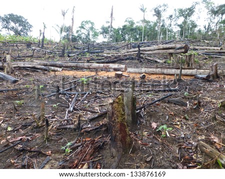 This was once a rainforest. Tropical forest destroyed by burning in the Amazon area of  Brazil. Image taken on 3 March 2013