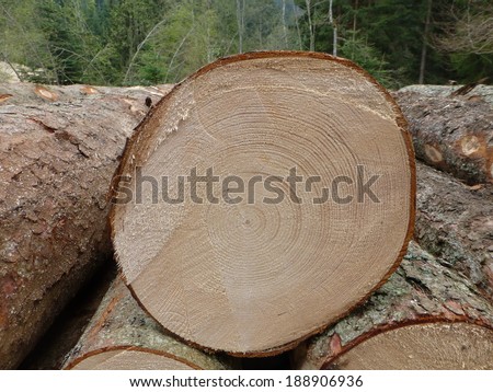 Annual rings of an approximately 80-year-old spruce. Dendrochronology or tree-ring dating, is the scientific method of dating based on the analysis of patterns of tree rings, also growth rings.