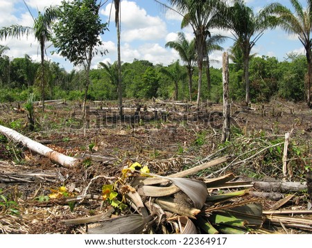 Deforestation In The Amazon Rainforest 商业图