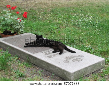 Cat Gravestone