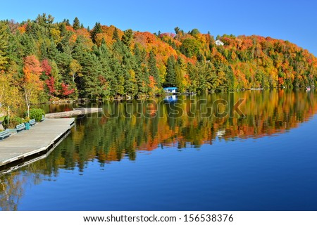 The Laurentian Forest in the fall, Sainte Marguerite du Lac Masson, Quebec, Canada