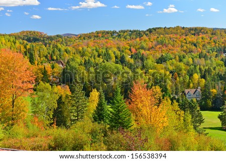 The Laurentian Forest in the fall, Quebec, Canada