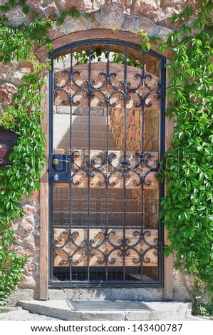 Iron gate of european house  in leaves