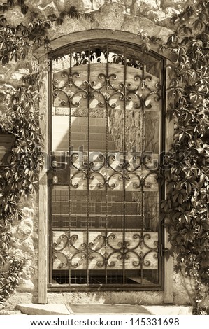 Iron gate of european house in leaves