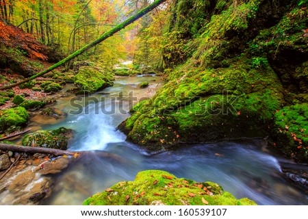 Creek deep in mountain forest  in Transylvania