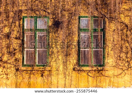 Old dirty windows on old dirty wall