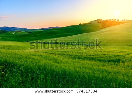 Summer in the fields of Tuscany in the sunset-Italy