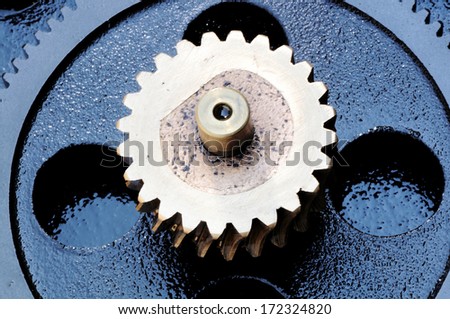 a toothed wheel, gear industrial