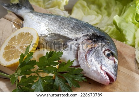 Sea bream, typical Mediterranean fish. Today are often farmed fish