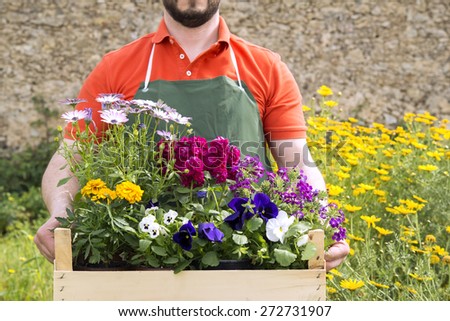 a young florist with a composition of spring flowers to be planted