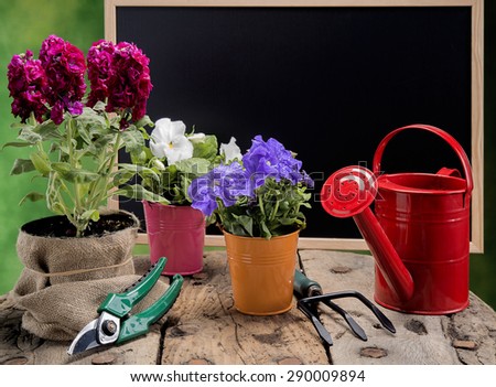 bouquet of  flowers in vase on blackboard background with copy space