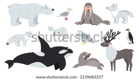 Arctic animals. Polar animal, cartoon cute bear walrus penguin. Flat fun antarctic seal, north pole wildlife. Reindeer fox childish decent set