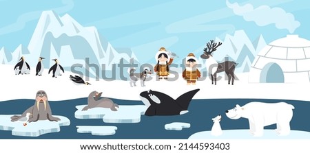 Arctic landscape. White polar bear, antarctica beautiful ice background. North pole iceberg drifting in ocean, cartoon animal decent scene