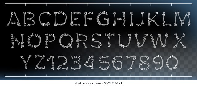 Bone Font Vector Letters Anatomy Abc Stock Vector Royalty Free 1041098779