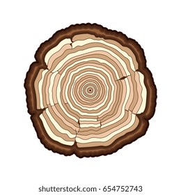 Tree Rings Watercolor Illustration Vector Hand Stock Vector Royalty