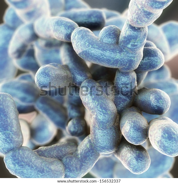 Ilustración de stock sobre Coccus Bacteria Clostridium Perfringens