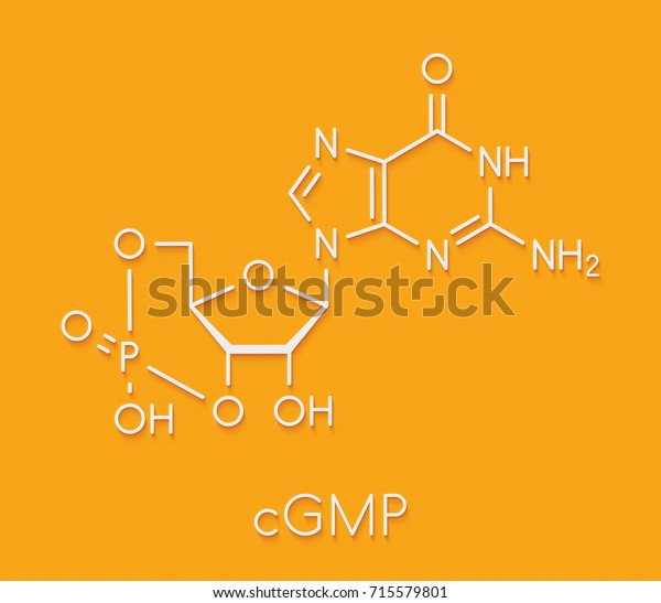 Cyclic Guanosine Monophosphate Cgmp Molecule Important Stock