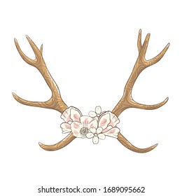 Deer Antlers Flowers Bohemian Style Illustration Stock Illustration