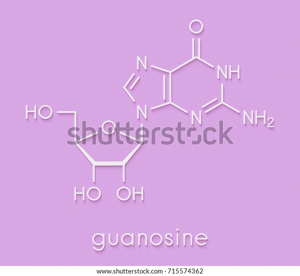 Guanosine Purine Nucleoside Molecule Important Component Stock