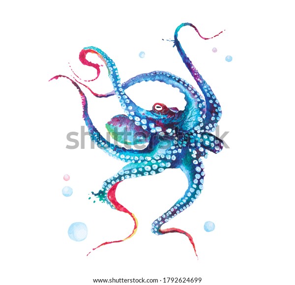 Hand Drawn Illustration Octopus Watercolor Isolated Stock Illustration