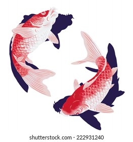 Japan Koi Fish Showa Coloration Pattern 库存矢量图免版税1909227247 Shutterstock