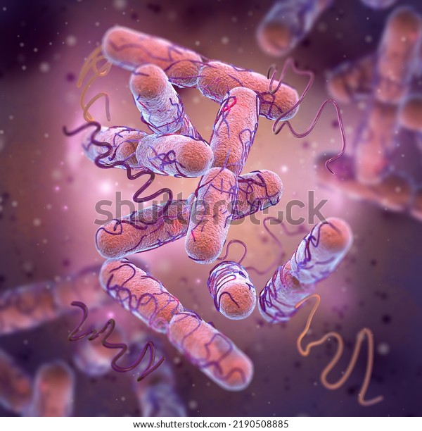 Medical Background Escherichia Coli Gramnegative Rodshaped 库存插图