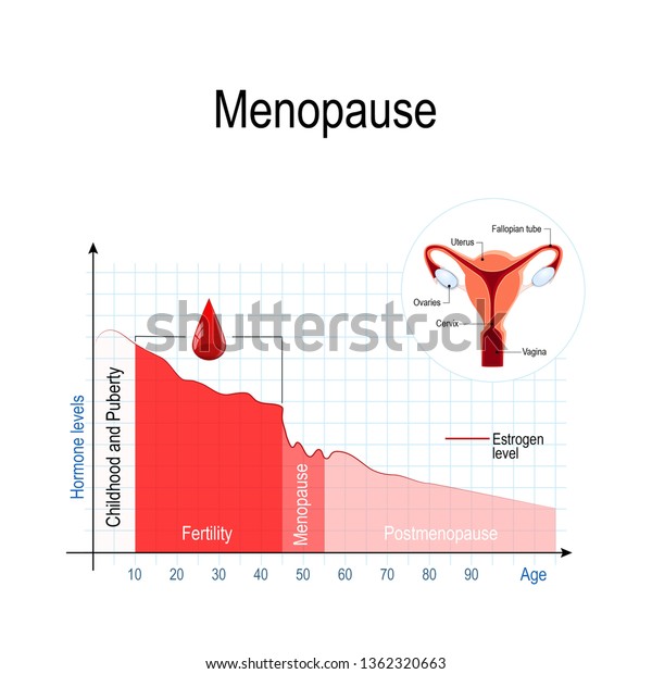 Menopause Chart Estrogen Level Aging Fluctuation Stock Illustration