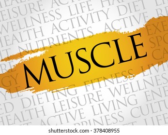 Muscle Word Cloud Health Concept Stock Illustration