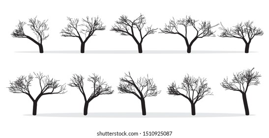 Naked Trees Silhouettes Set Hand Drawn 스톡 일러스트 Shutterstock