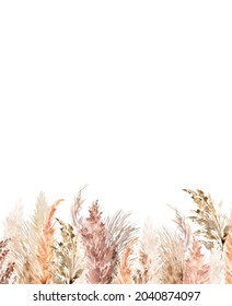 Pampas Grass Border Painted Watercolor Boho Ilustra Es Stock