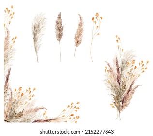 Pampas Grass Border Painted Watercolor Boho Stock Illustration