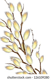 Pussy Willow Branches Stock Vector Royalty Free 126109259