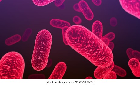 Salmonella Bacteria S Typhi S Typhimurium Stock Illustration 2190487623