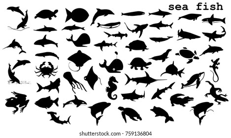 Sea Fish Silhouette Shutterstock