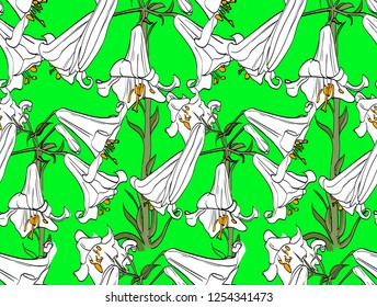 Seamless Pattern Lily Flowersbeautiful Colorful Design Stock