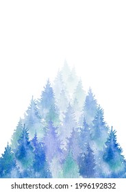 Spruce Borderconiferous Forestwatercolor Hand Drawn Illustrationwhite