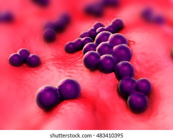 Superbug Staphylococcus Aureus Mrsa Bacteria D Stock Illustration