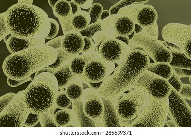 Threedimensional Drawing Rodshaped Bacteria Model Bacteria Stock