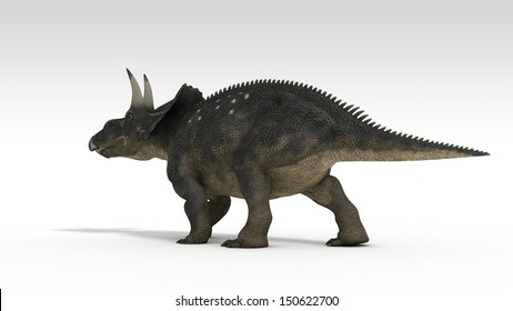 Triceratops Diceratops Isolated On White Shutterstock