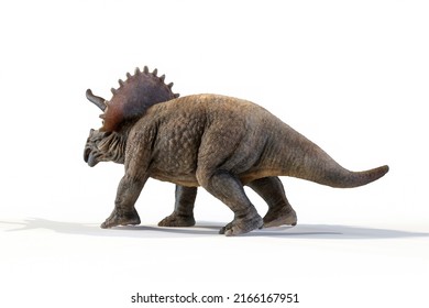 Triceratops Dinosaur D Rendering On White Stock Illustration