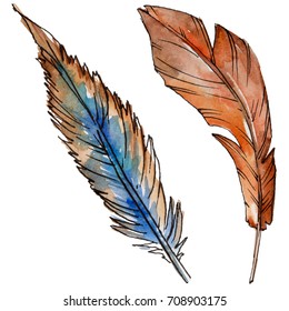 Set Colorful Transparent Feathers Stock Vector Royalty Free 115307395